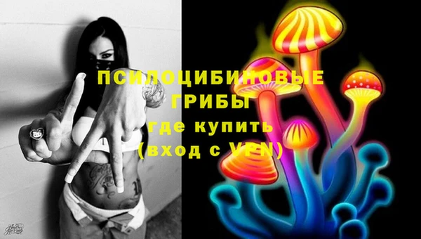 бошки Богородск