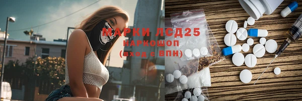 mdpv Богданович