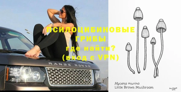 mdpv Богданович