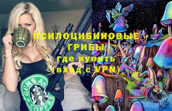 2c-b Богородицк