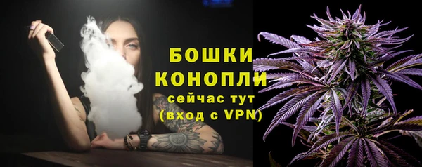 mdpv Богданович