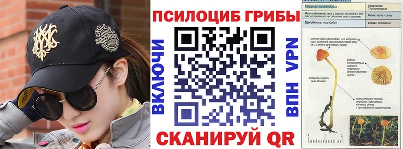 Купить где Городец Псилоцибиновые грибы мицелий